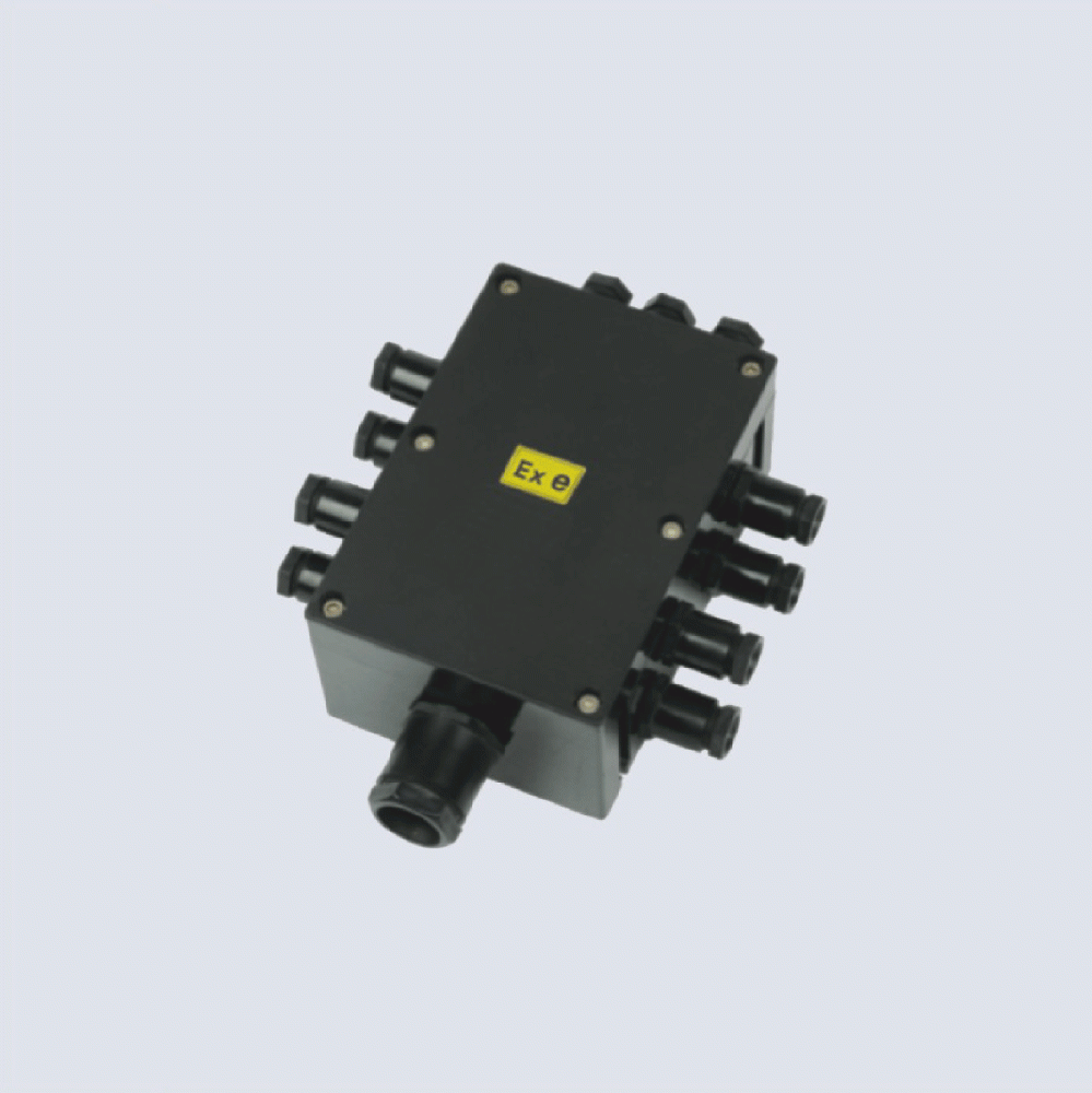 BJX8050系列防爆防腐接線箱(II C、 ExtD)