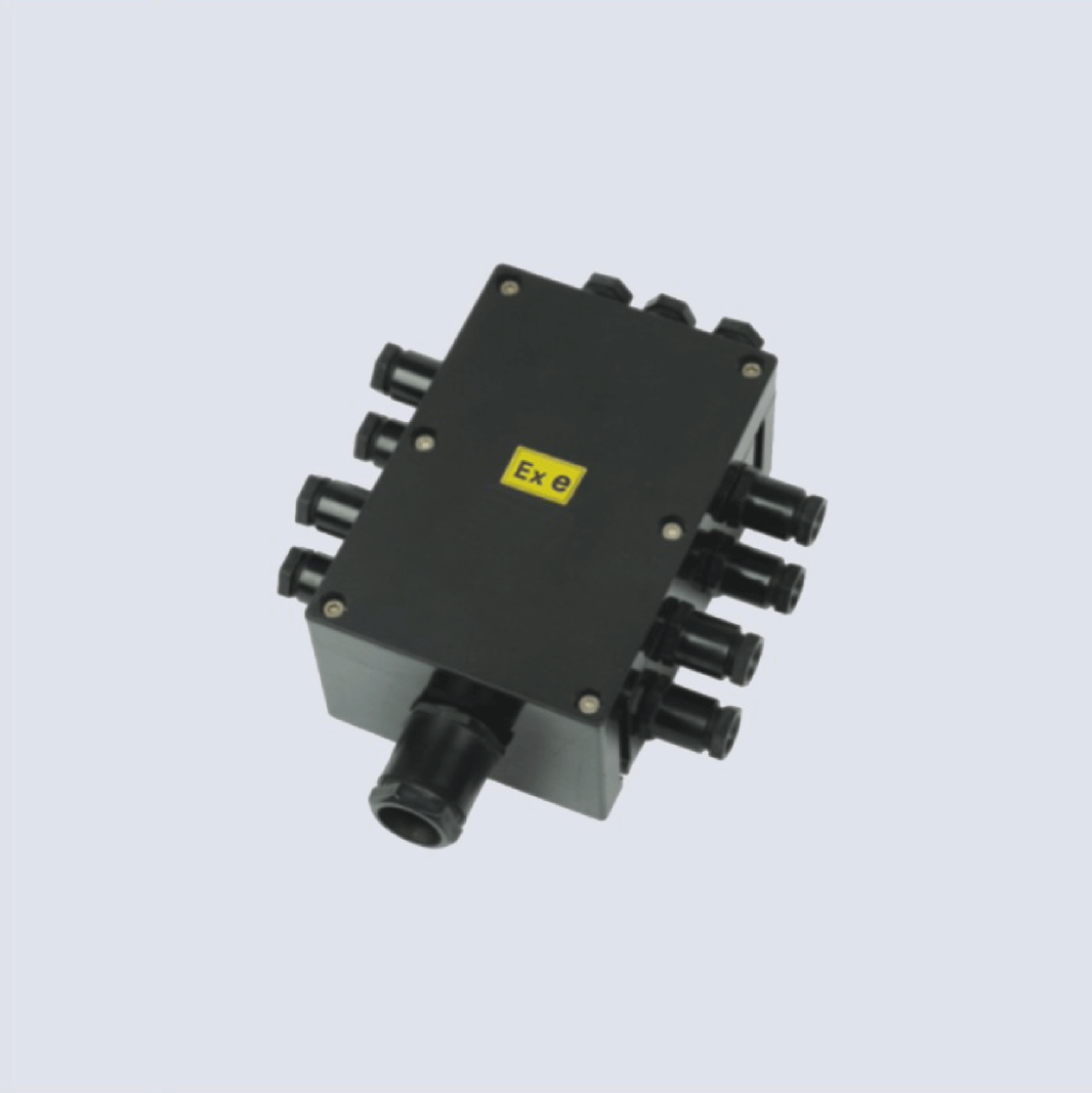 BJX8050系列防爆防腐接線箱(II C、 ExtD)