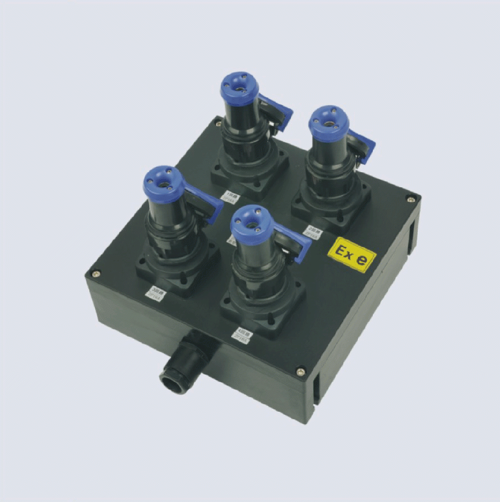 BXX8050-系列防爆防腐檢修電源插座箱(IIC、 ExtD)